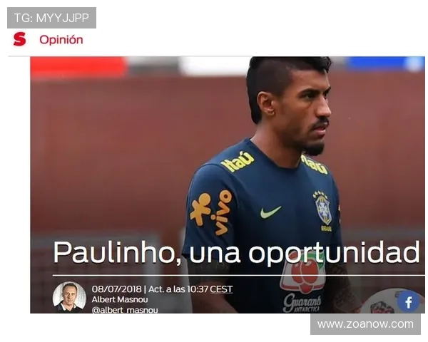 保利尼奥风格分析